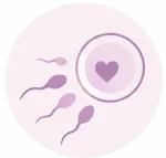 fisioterapia para la fertilidad